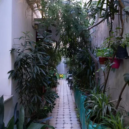 Pagration Youth Hostel-2